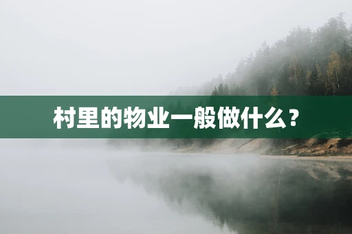 村里的物业一般做什么？