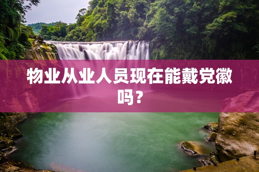 物业从业人员现在能戴党徽吗？