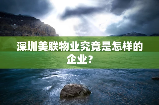 深圳美联物业究竟是怎样的企业？