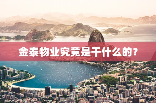 金泰物业究竟是干什么的？