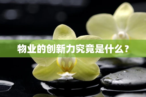 物业的创新力究竟是什么？