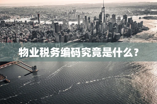 物业税务编码究竟是什么？