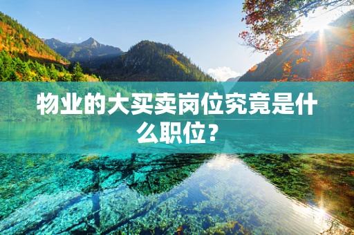 物业的大买卖岗位究竟是什么职位？