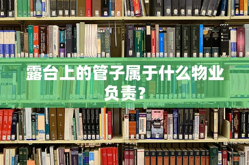 露台上的管子属于什么物业负责？