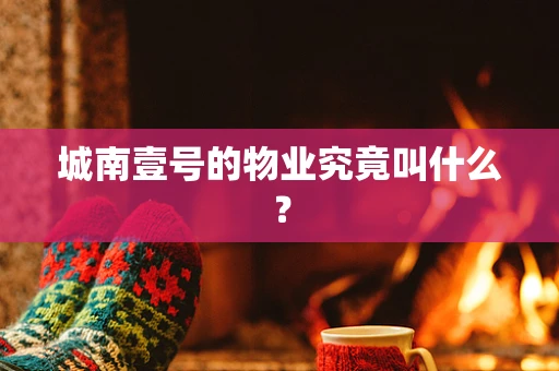 城南壹号的物业究竟叫什么？