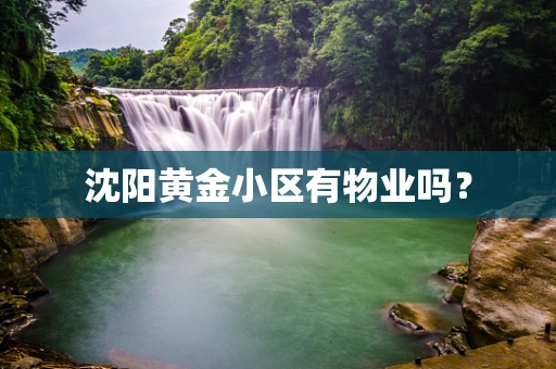 沈阳黄金小区有物业吗？