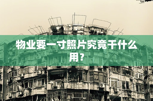 物业要一寸照片究竟干什么用？