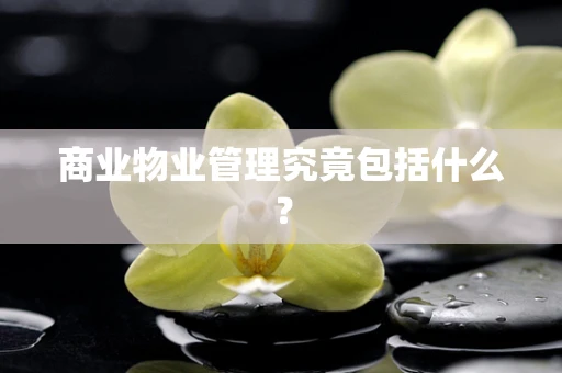 商业物业管理究竟包括什么？