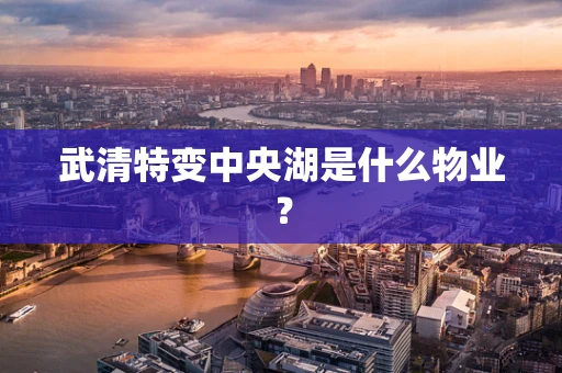 武清特变中央湖是什么物业？