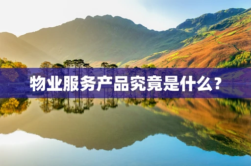物业服务产品究竟是什么？