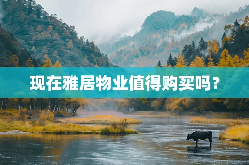 现在雅居物业值得购买吗？