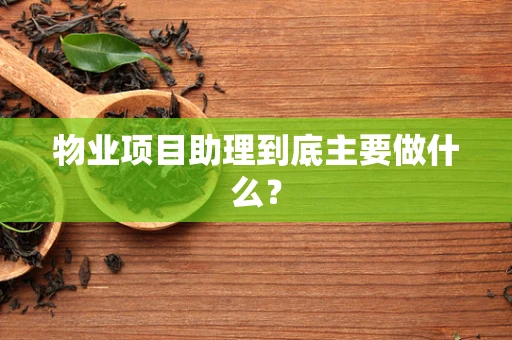 物业项目助理到底主要做什么？