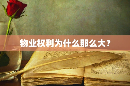 物业权利为什么那么大？