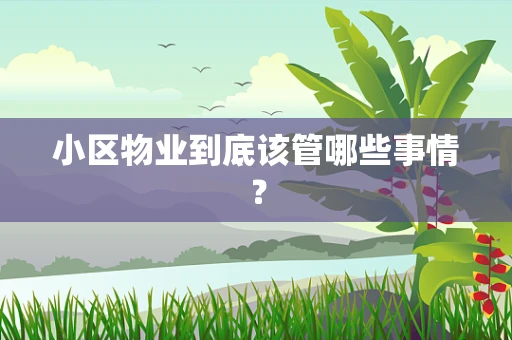 小区物业到底该管哪些事情？