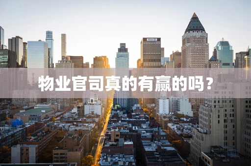 物业官司真的有赢的吗？