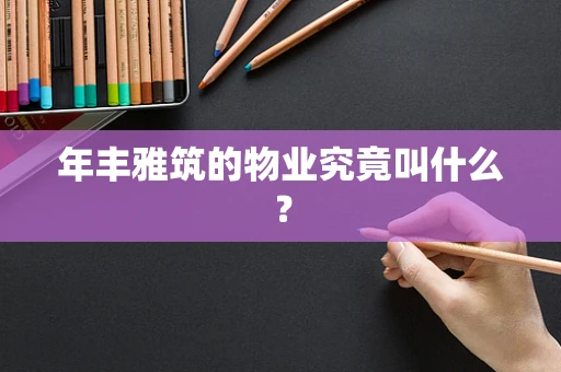 年丰雅筑的物业究竟叫什么？