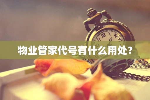 物业管家代号有什么用处？