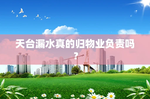天台漏水真的归物业负责吗？