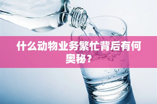 什么动物业务繁忙背后有何奥秘？