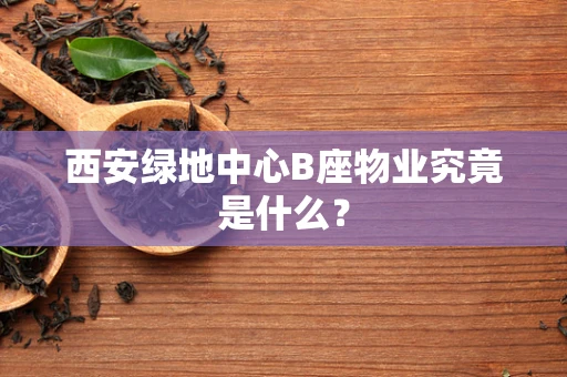 西安绿地中心B座物业究竟是什么？