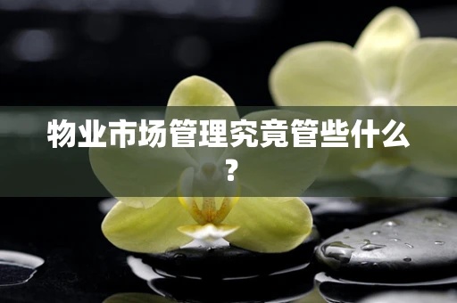 物业市场管理究竟管些什么？