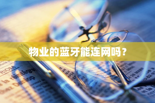 物业的蓝牙能连网吗？