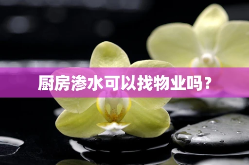厨房渗水可以找物业吗？