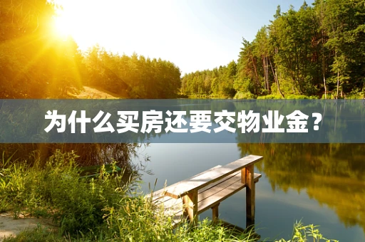 为什么买房还要交物业金？