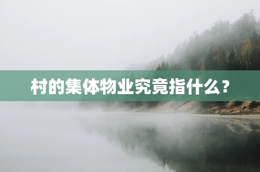 村的集体物业究竟指什么？