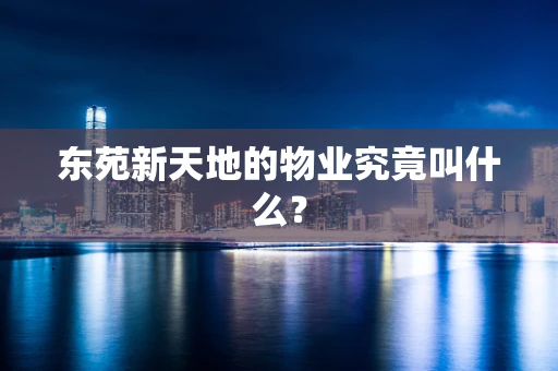 东苑新天地的物业究竟叫什么？