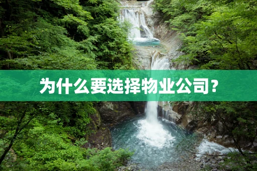 为什么要选择物业公司？