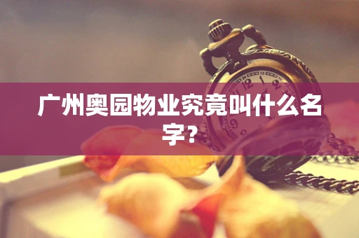 广州奥园物业究竟叫什么名字？