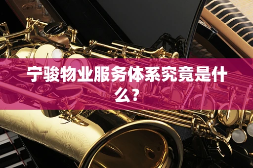 宁骏物业服务体系究竟是什么？