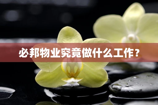 必邦物业究竟做什么工作？