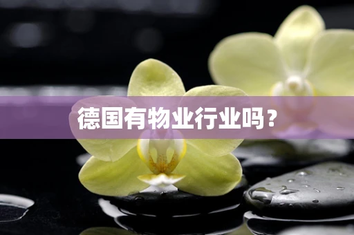 德国有物业行业吗？