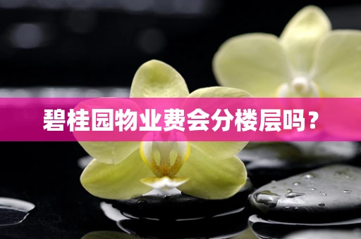 碧桂园物业费会分楼层吗？