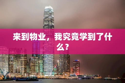 来到物业，我究竟学到了什么？