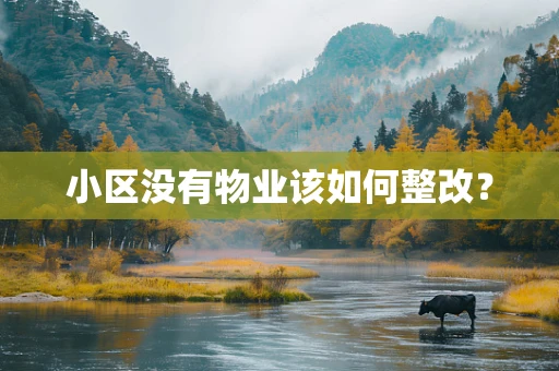 小区没有物业该如何整改？
