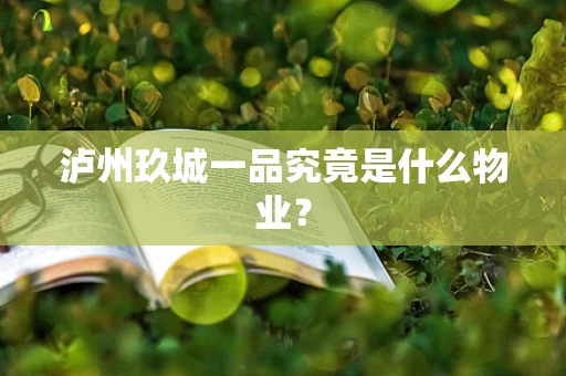 泸州玖城一品究竟是什么物业？