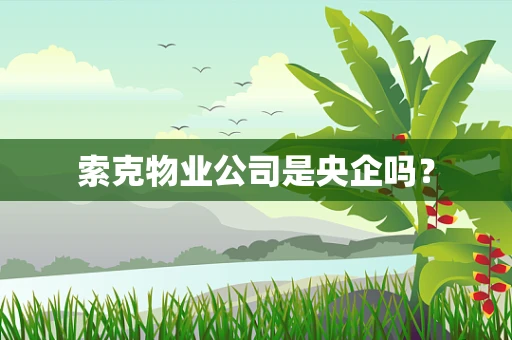索克物业公司是央企吗？