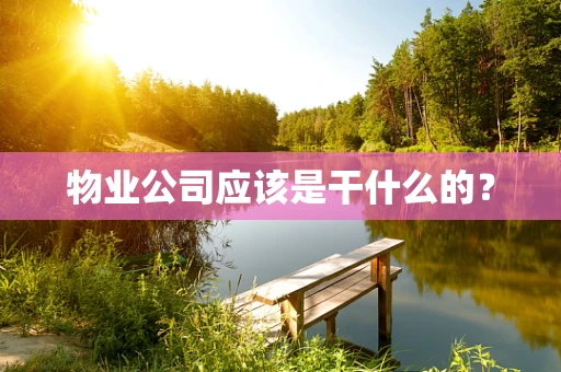 物业公司应该是干什么的？