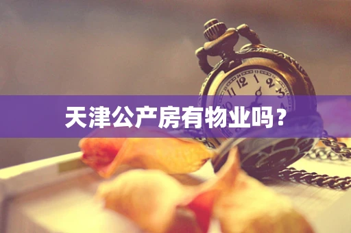 天津公产房有物业吗？