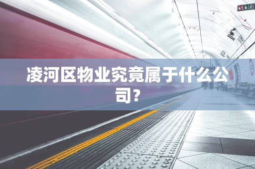 凌河区物业究竟属于什么公司？