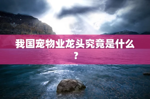 我国宠物业龙头究竟是什么？