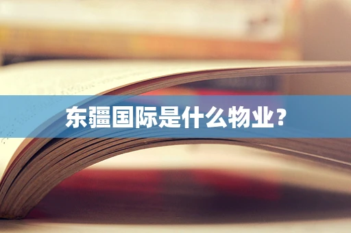 东疆国际是什么物业？