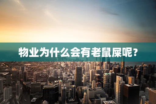 物业为什么会有老鼠屎呢？