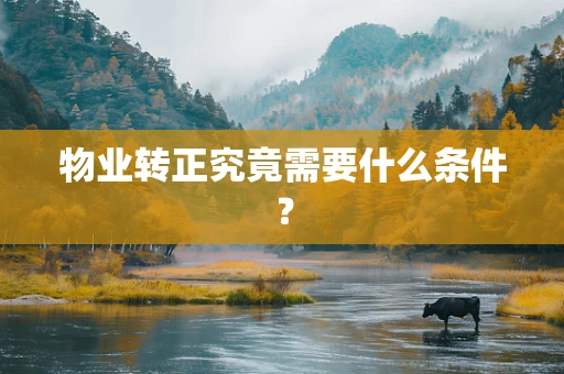 物业转正究竟需要什么条件？