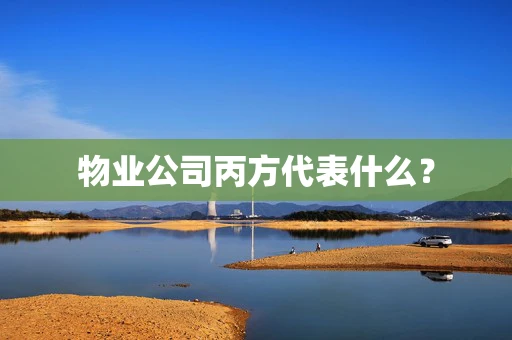 物业公司丙方代表什么？