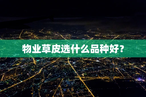 物业草皮选什么品种好？