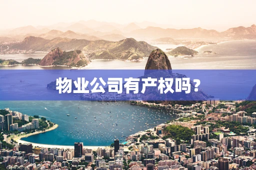 物业公司有产权吗？